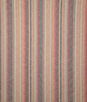 Pindler & Pindler Bamford Arroyo Fabric