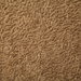 Pindler & Pindler Coiled Fawn Fabric