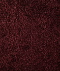 Pindler & Pindler Coiled Oxblood Fabric