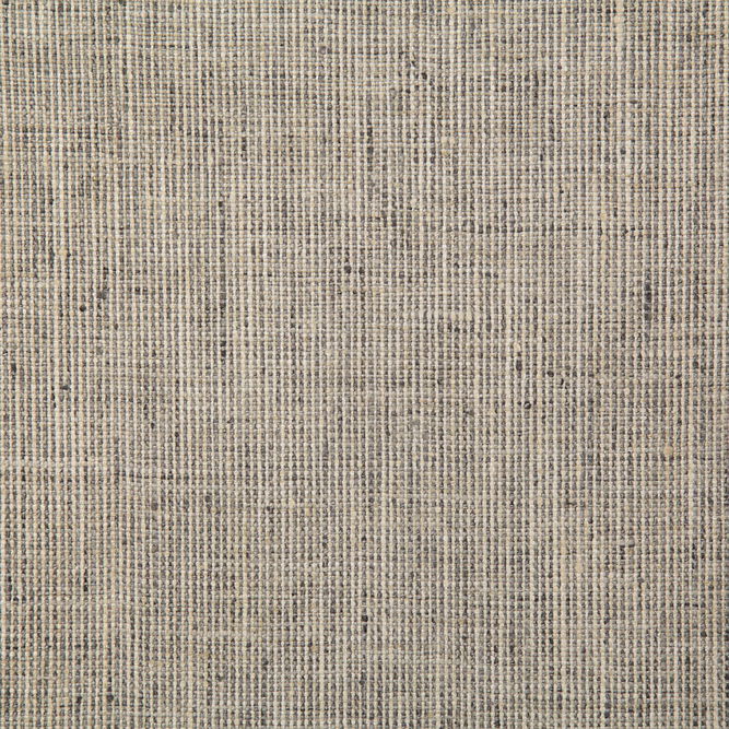 Pindler &amp; Pindler Ryan Ash Fabric