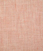Pindler & Pindler Ryan Coral