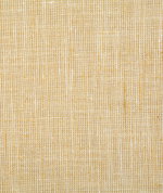 Pindler & Pindler Ryan Sunshine