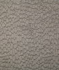 Pindler & Pindler Roscoe Mink Fabric