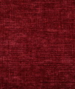 Pindler & Pindler Young Cardinal