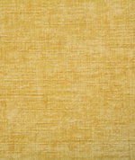Pindler & Pindler Young Daffodil