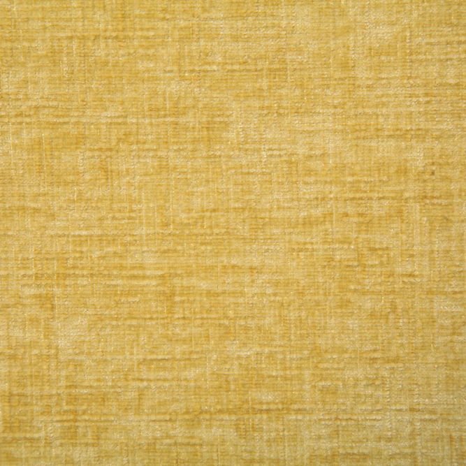 Pindler &amp; Pindler Young Daffodil Fabric