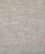 Pindler & Pindler Young Dove