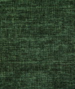 Pindler & Pindler Young Evergreen
