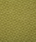 Pindler & Pindler Charleston Olive Fabric