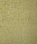 Pindler & Pindler Cole Olive Fabric