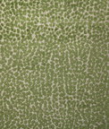 Pindler & Pindler Cole Palm Fabric