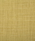 Pindler & Pindler Paloma Citrus Fabric