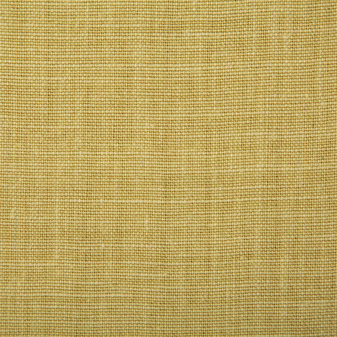 Pindler &amp; Pindler Paloma Citrus Fabric