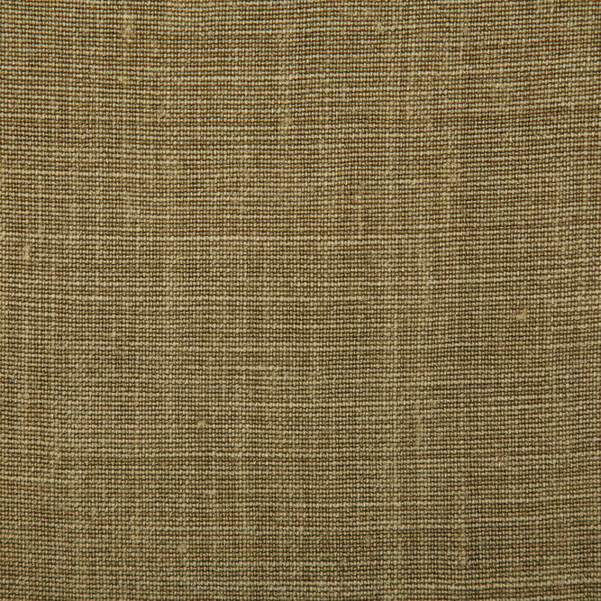 Pindler &amp; Pindler Paloma Moss Fabric