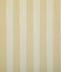 Pindler & Pindler Shay Golden Fabric
