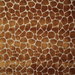 Pindler & Pindler Lanka Amber Fabric