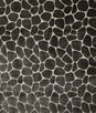Pindler & Pindler Lanka Charcoal Fabric