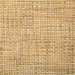 Pindler & Pindler Petrus Soleil Fabric