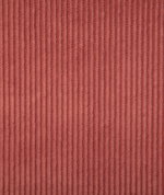 Pindler & Pindler Corduroy Blossom