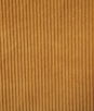 Pindler & Pindler Corduroy Golden Fabric