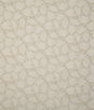 Pindler & Pindler Rachelle Natural Fabric