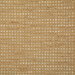 Pindler & Pindler Irene Gold Fabric