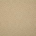 Pindler & Pindler Netta Golden Fabric