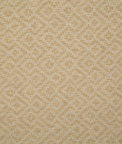 Pindler & Pindler Netta Golden Fabric