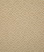Pindler & Pindler Netta Golden Fabric