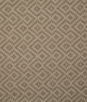 Pindler & Pindler Netta Mushroom Fabric
