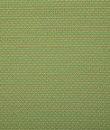 Pindler & Pindler Rover Kiwi Fabric