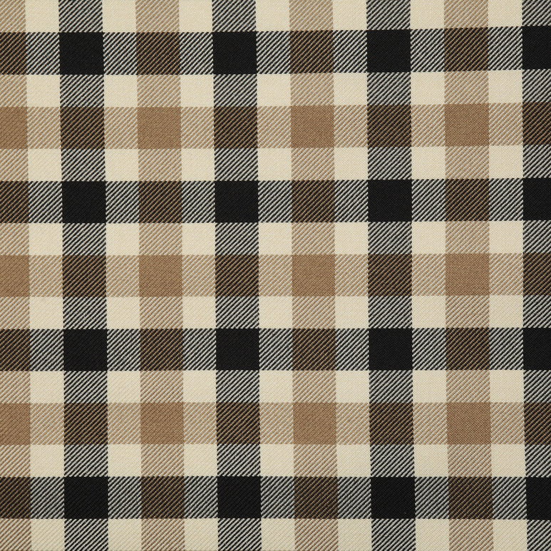 Pindler &amp; Pindler Shiloh Noir Fabric