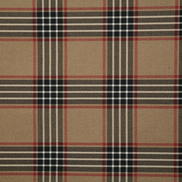 Pindler & Pindler Rupert Noir Fabric