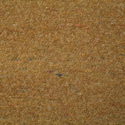 Pindler & Pindler Nichols Gold Fabric