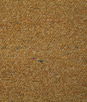 Pindler & Pindler Nichols Gold Fabric