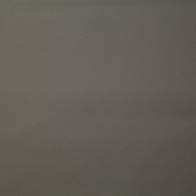 Pindler &amp; Pindler Mosey Grey Fabric