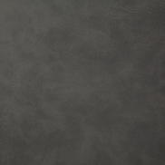 Pindler & Pindler Yeehaw Grey Fabric