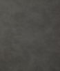 Pindler & Pindler Yeehaw Grey Fabric