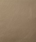 Pindler & Pindler Howdy Champagne Fabric