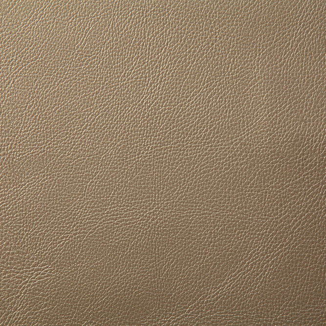 Pindler &amp; Pindler Howdy Champagne Fabric