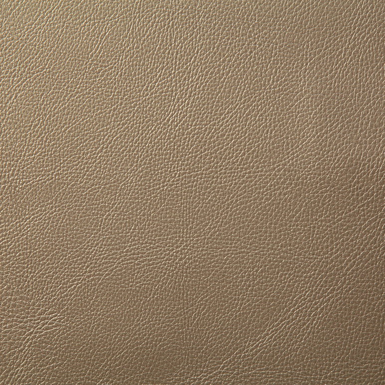Pindler &amp; Pindler Howdy Champagne Fabric