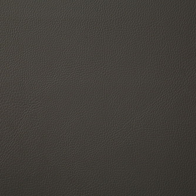 Pindler &amp; Pindler Howdy Charcoal Fabric