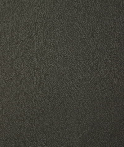 Pindler & Pindler Howdy Moss Fabric