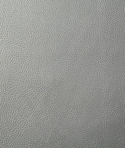 Pindler & Pindler Howdy Silver Fabric