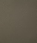 Pindler & Pindler Howdy Taupe Fabric