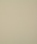 Pindler & Pindler Howdy Tusk Fabric