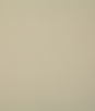 Pindler & Pindler Howdy Tusk Fabric