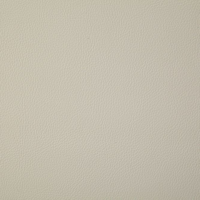 Pindler &amp; Pindler Howdy White Fabric