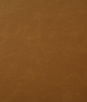 Pindler & Pindler Bonanza Amber Fabric