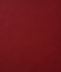 Pindler & Pindler Bonanza Lacquer Fabric